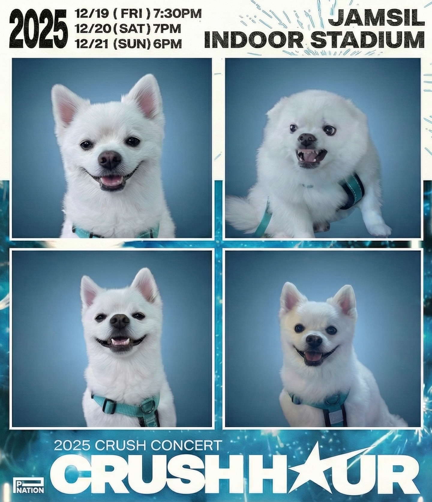 [잡담] 크러쉬 강아지 두유 인생네컷 좀 봐ㅋㅋㅋㅋㅋ | 인스티즈