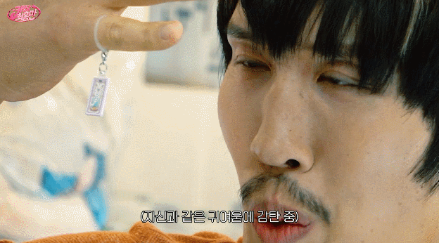 잡히는 모든걸 미니어쳐로 만들어버리는 최홍만 ㅎㄷㄷ | 인스티즈