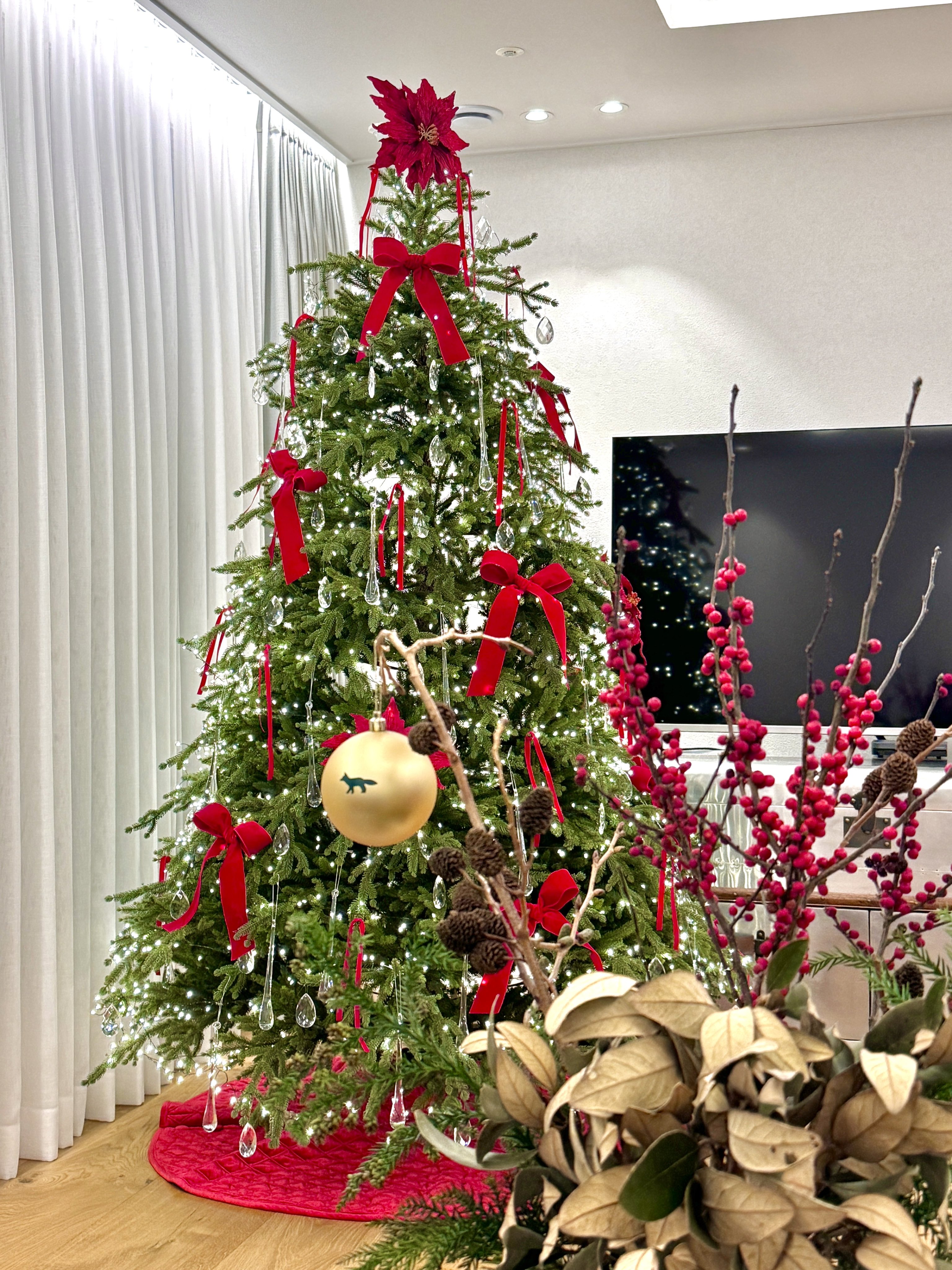 [잡담] 우와 웬디 집에 크리스마스 트리 꾸민 것 좀 봐 | 인스티즈