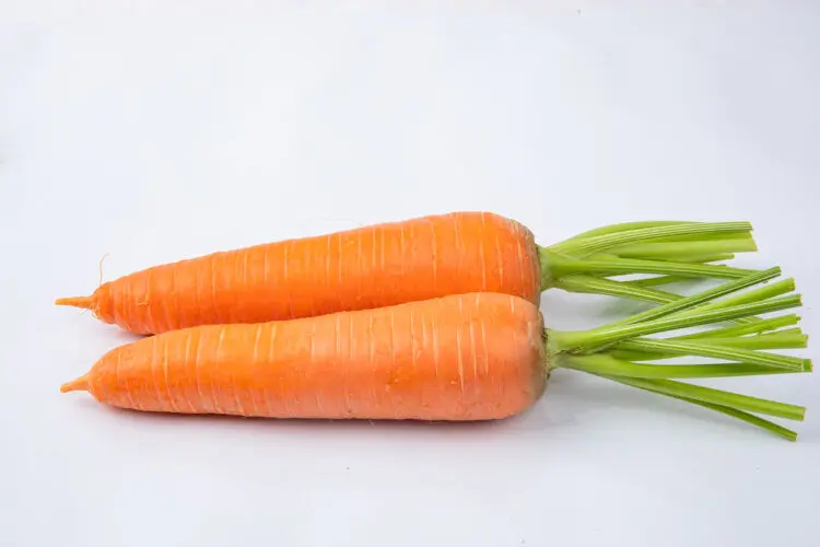 [잡담] 한국 당근은 웰케 이뻐..? | 인스티즈