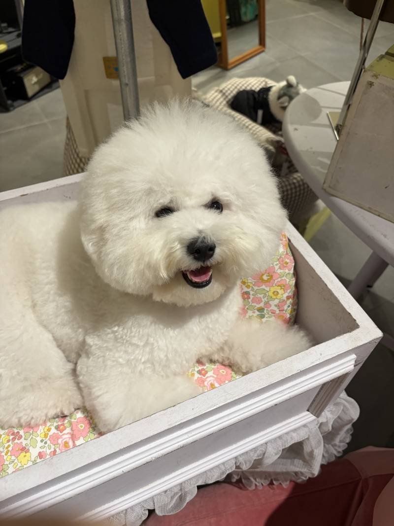 [잡담] 이 두사진을 보고 느끼는점이 뭐냐? | 인스티즈