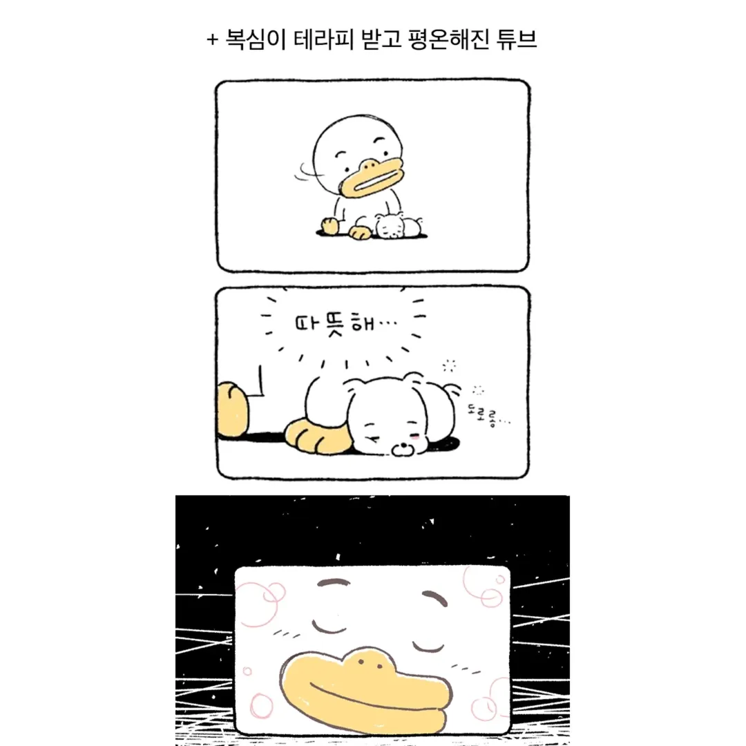 [정보/소식] 현재 반응갈리는 카카오 신규 캐릭터.JPG | 인스티즈