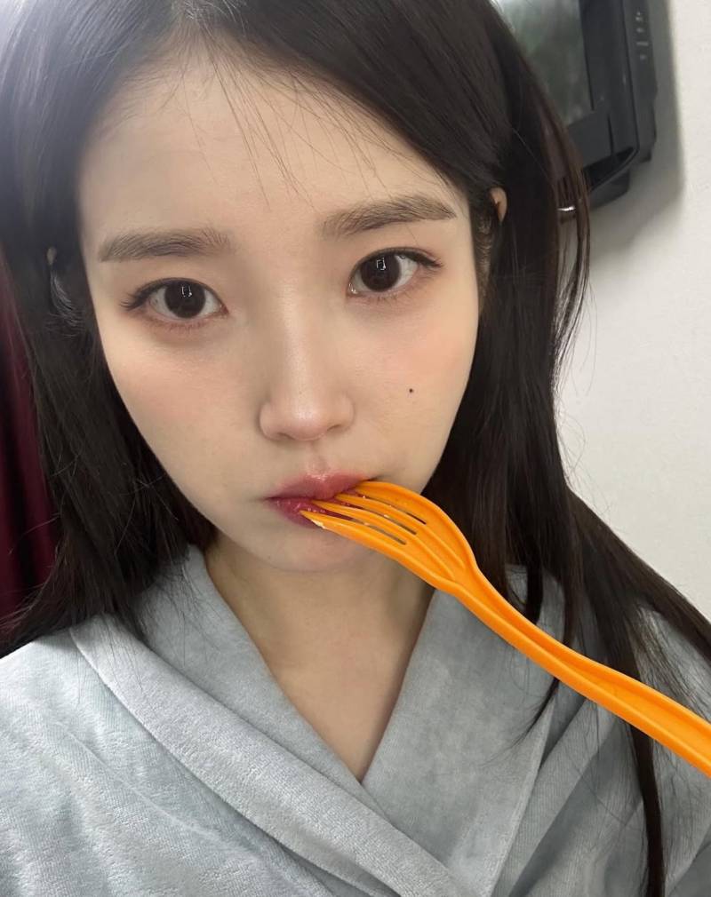 [잡담] 사진 속 블러셔랑 비슷한 블러셔 무가 있을까 | 인스티즈