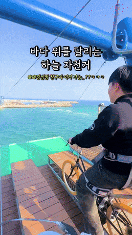 강릉에 있다는 하늘자전거 | 인스티즈