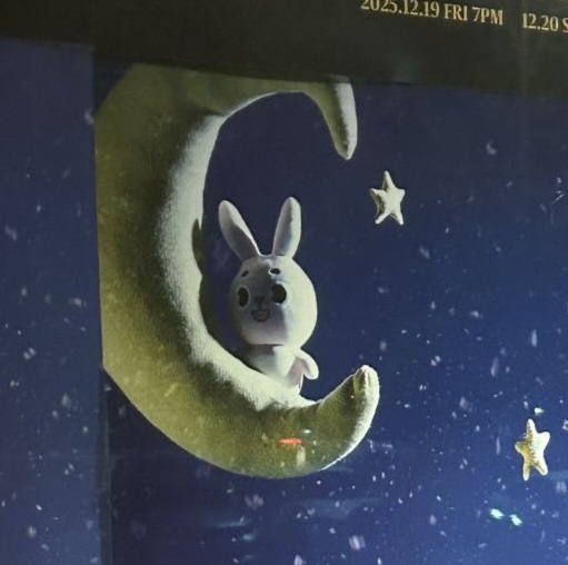 [잡담] 내 달토끼 어때 ㅅㅍ | 인스티즈