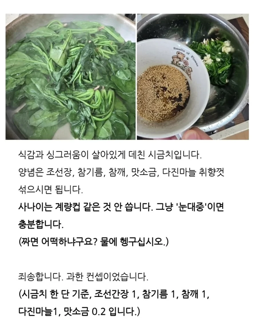 겨울에 시금치를 먹어야하는 과학적 이유 | 인스티즈