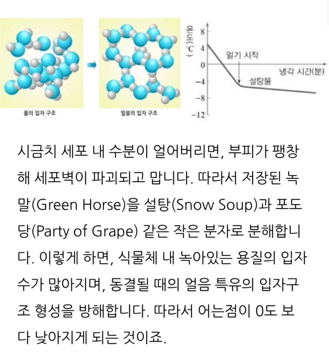 겨울에 시금치를 먹어야하는 과학적 이유 | 인스티즈