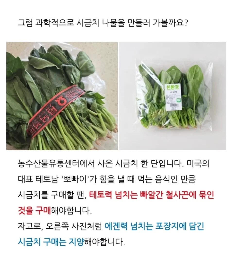 겨울에 시금치를 먹어야하는 과학적 이유 | 인스티즈