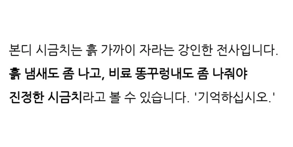 겨울에 시금치를 먹어야하는 과학적 이유 | 인스티즈