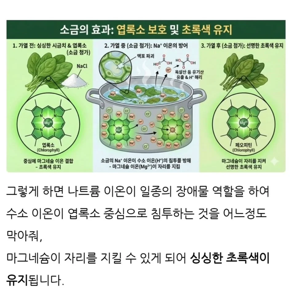 겨울에 시금치를 먹어야하는 과학적 이유 | 인스티즈
