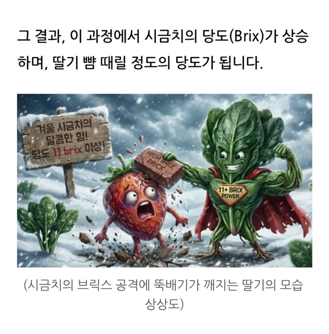 겨울에 시금치를 먹어야하는 과학적 이유 | 인스티즈