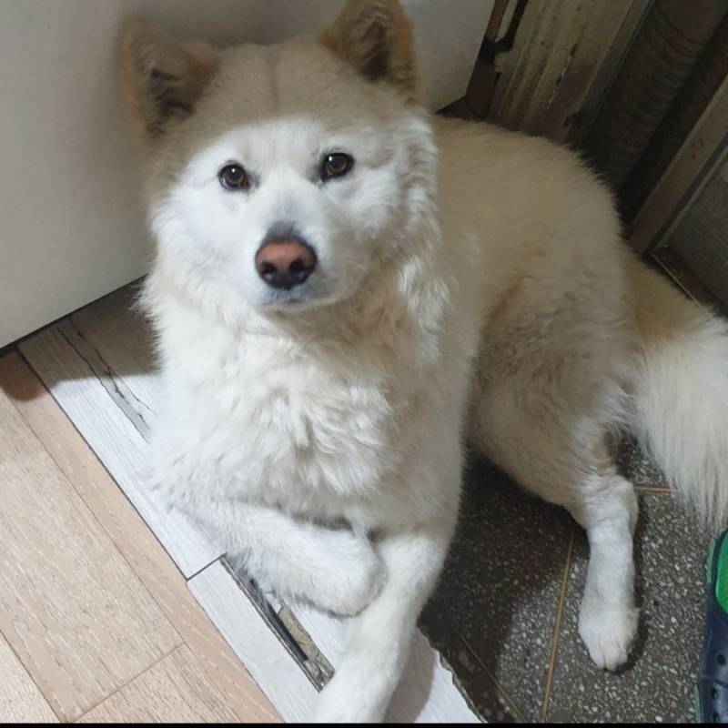 [잡담] 우리집 가나디.. 볼사람 | 인스티즈