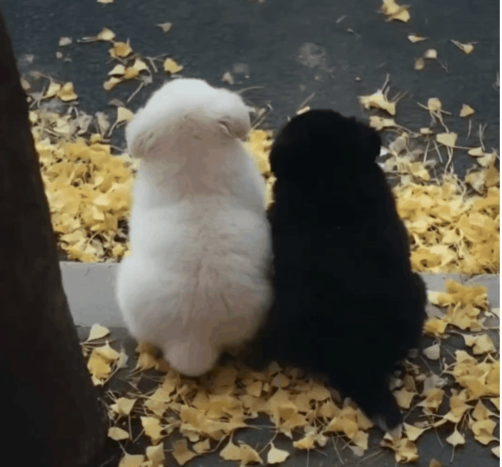 다정한 커플 | 인스티즈