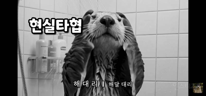 술 마신 다음날 사원 대리 과장의 차이 | 인스티즈