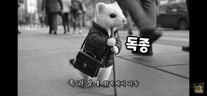 술 마신 다음날 사원 대리 과장의 차이 | 인스티즈