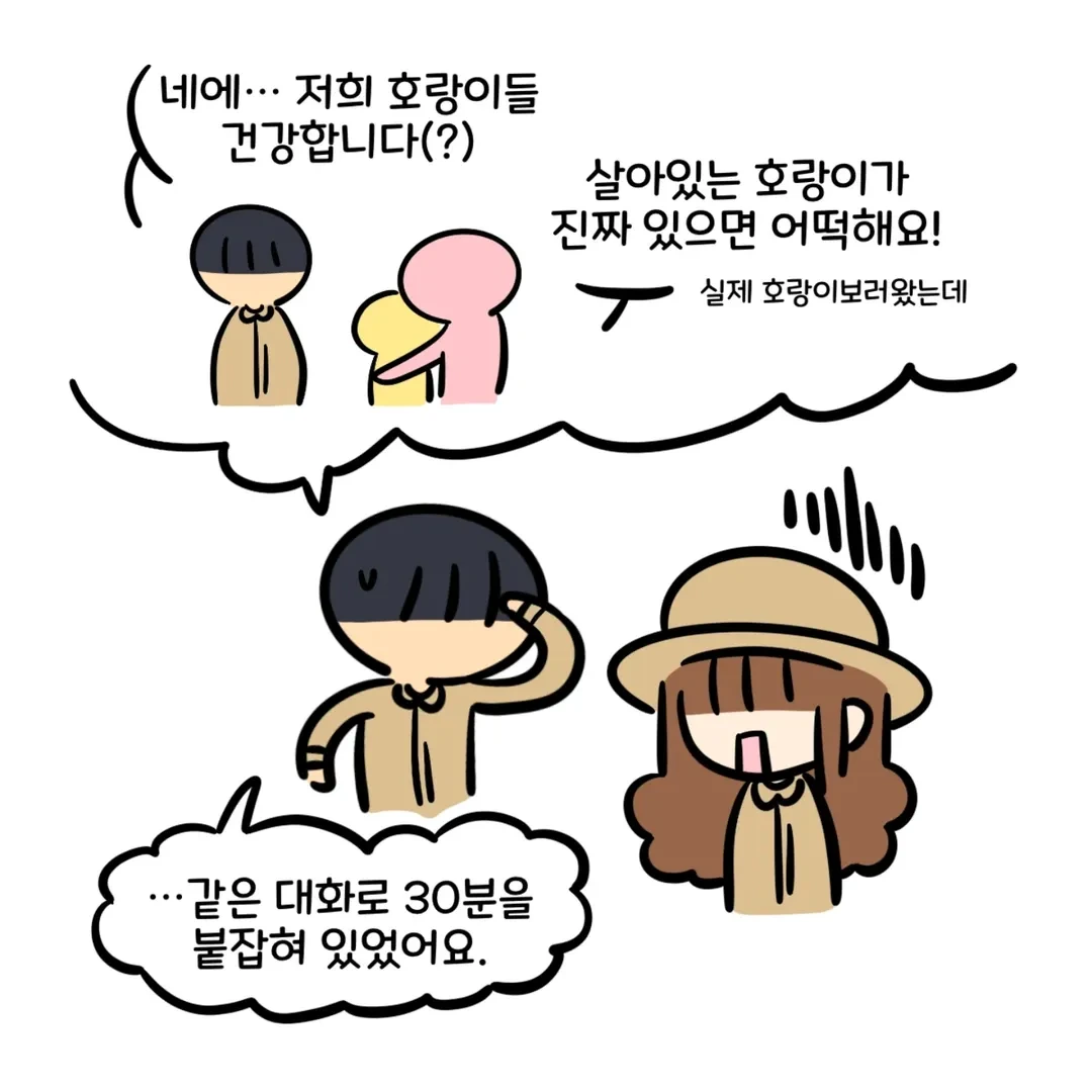 [잡담] 동물원에 호랑이 보러 왔는데 호랑이가 있다고 민원이 들어옴.insta (실화) | 인스티즈