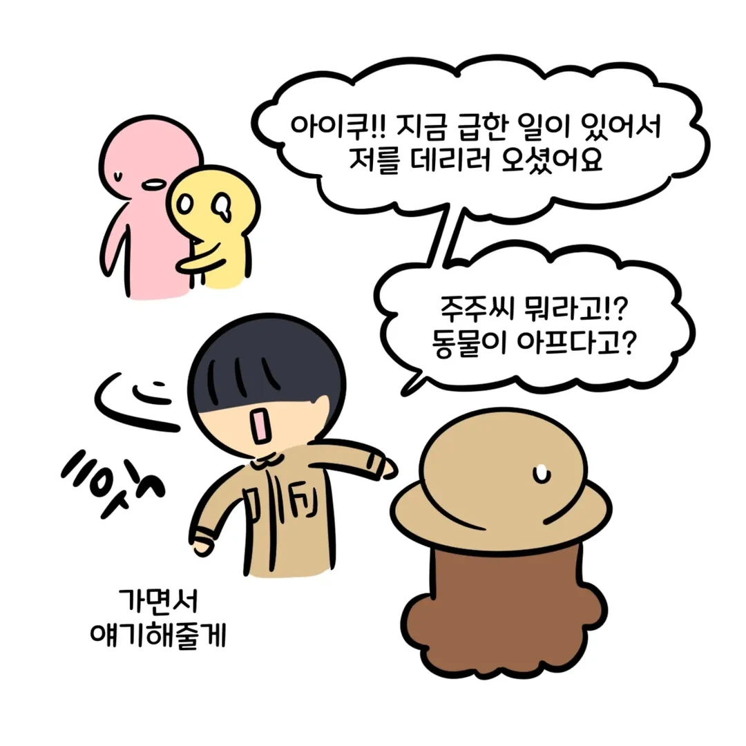 [잡담] 동물원에 호랑이 보러 왔는데 호랑이가 있다고 민원이 들어옴.insta (실화) | 인스티즈