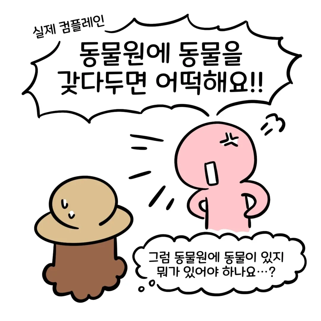 [잡담] 동물원에 호랑이 보러 왔는데 호랑이가 있다고 민원이 들어옴.insta (실화) | 인스티즈