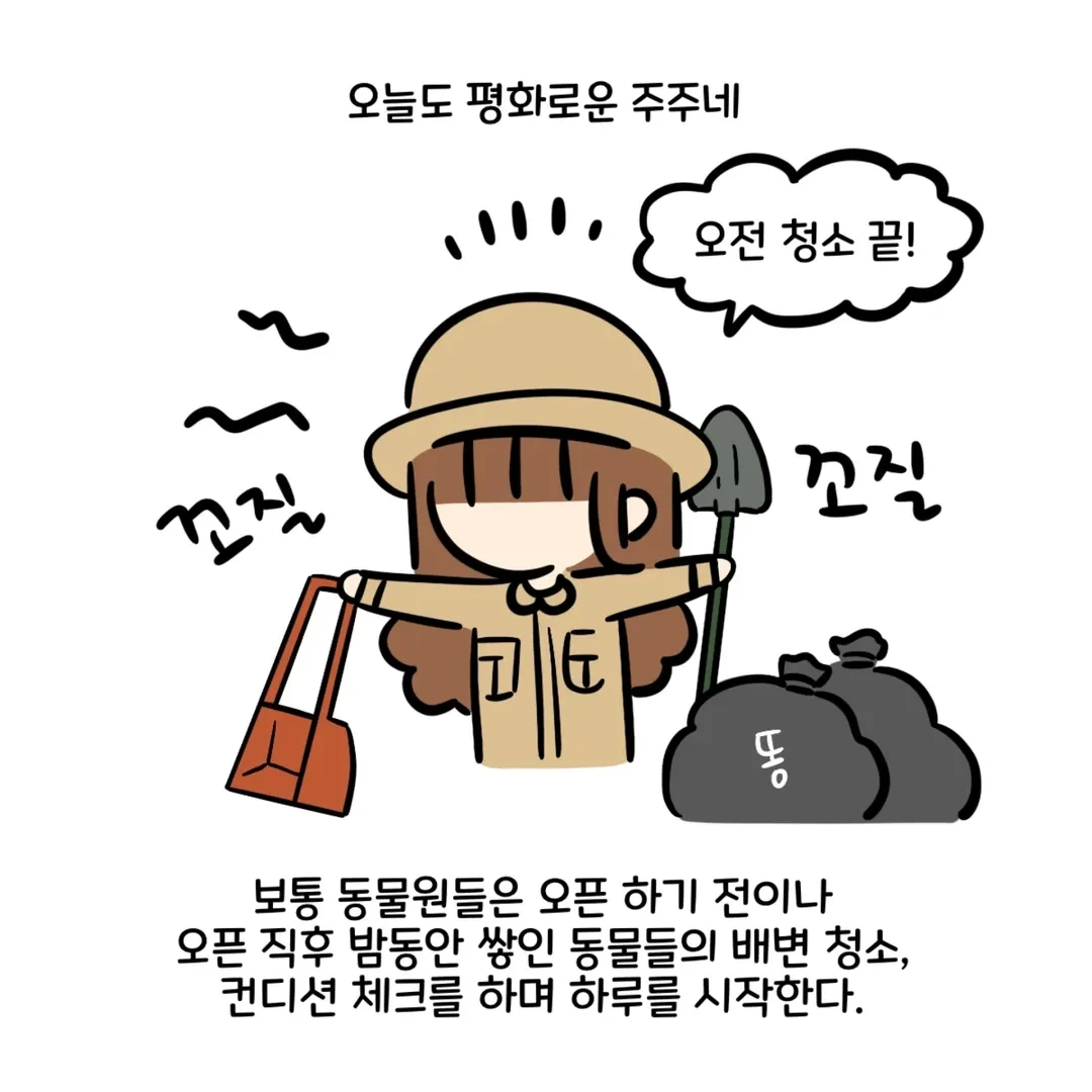 [잡담] 동물원에 호랑이 보러 왔는데 호랑이가 있다고 민원이 들어옴.insta (실화) | 인스티즈