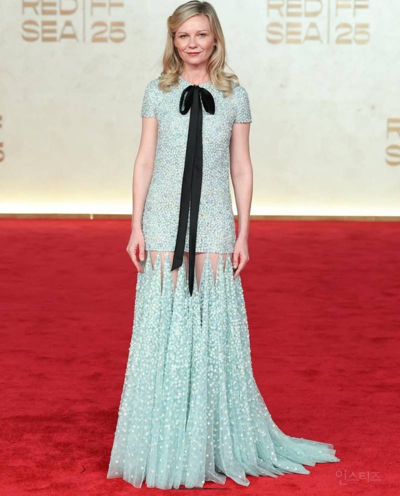 셀럽들 사이에서 인기 많다는 디올 드레스 | 인스티즈