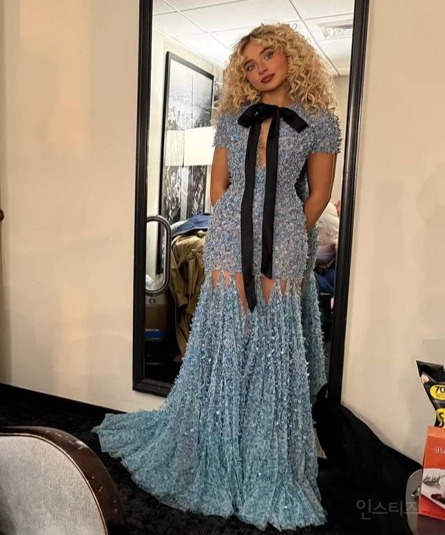 셀럽들 사이에서 인기 많다는 디올 드레스 | 인스티즈