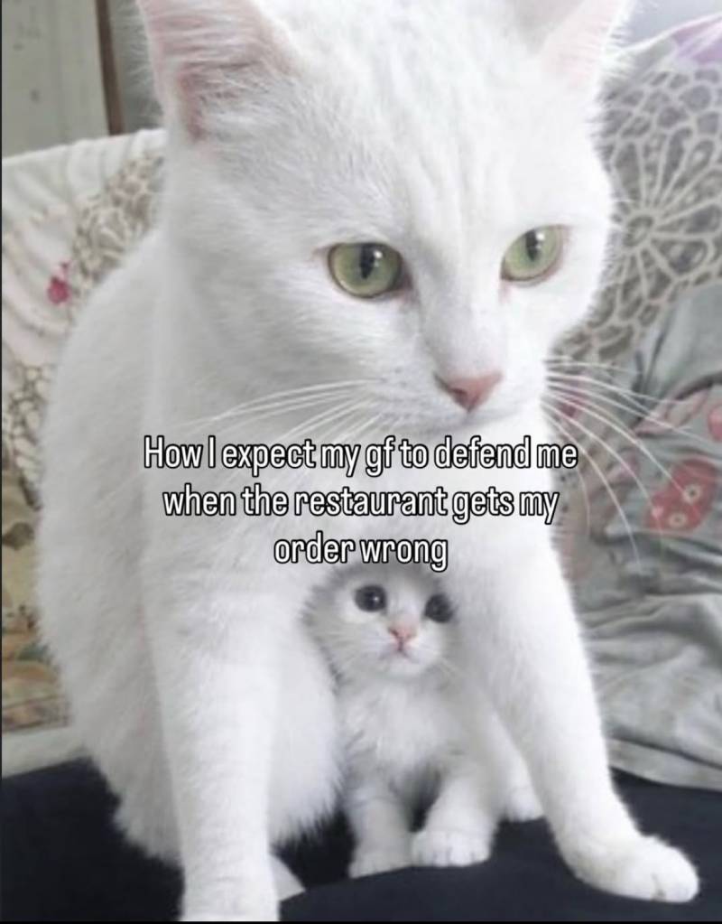 애인이 이런 릴스 보내면 어떨것 같아 | 인스티즈