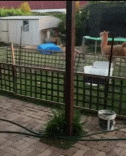 [잡담] 알디원 덕분에 야밤에 운동함 | 인스티즈