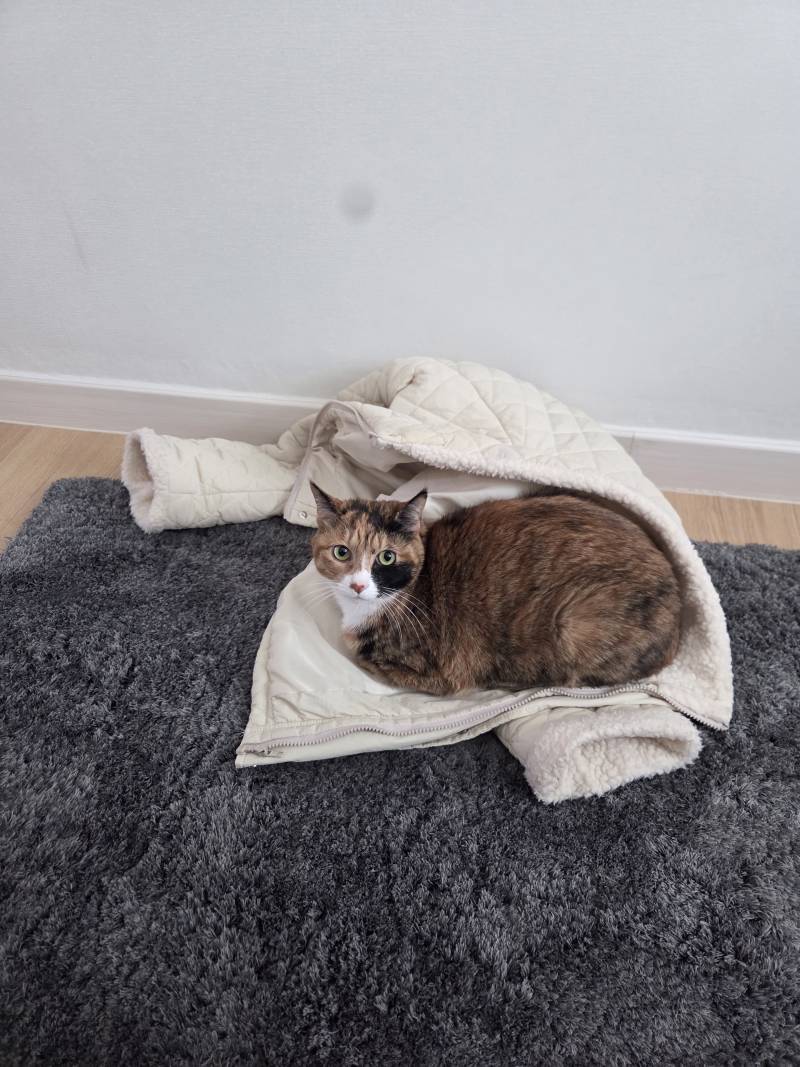 [잡담] 나 이거 지금 입고 나가야하는데 어쩌지 | 인스티즈