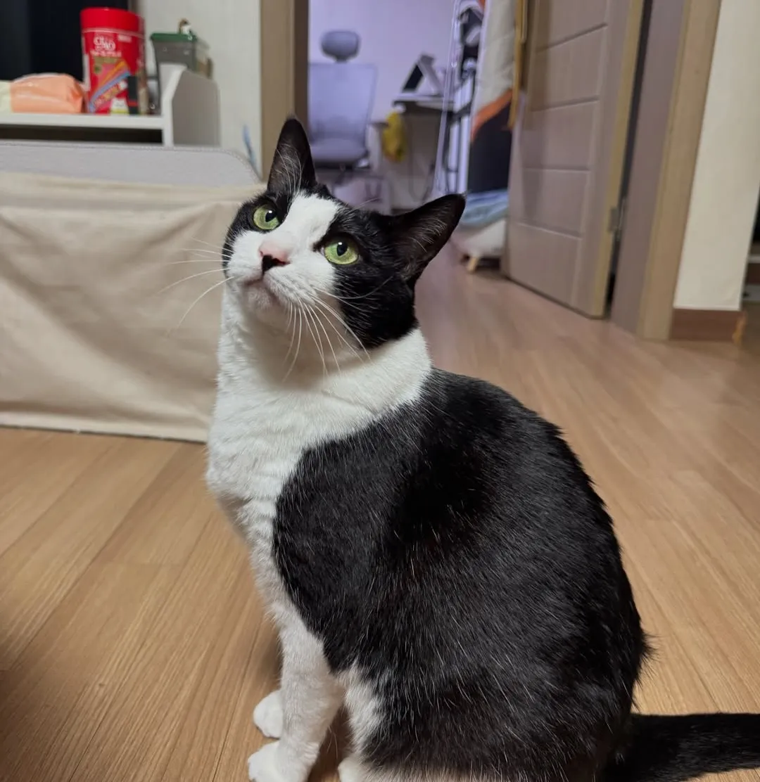 [잡담] 얘네 그룹은 비주얼센터 너무 치열해서 우열을 못가리겠다... | 인스티즈