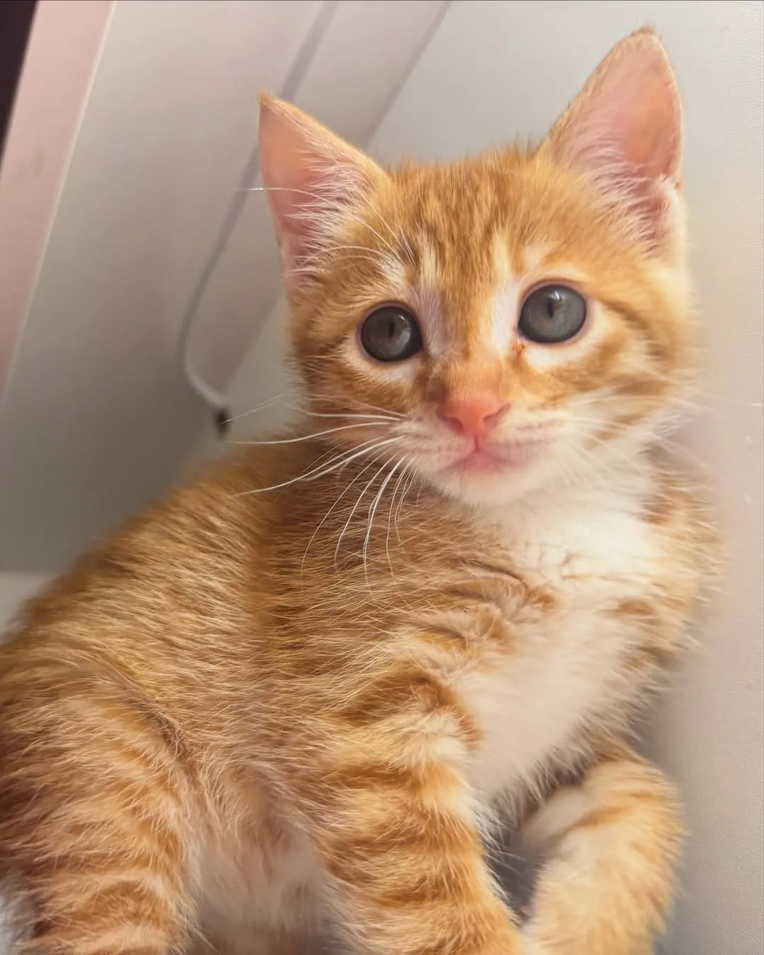 [잡담] 얘네 그룹은 비주얼센터 너무 치열해서 우열을 못가리겠다... | 인스티즈