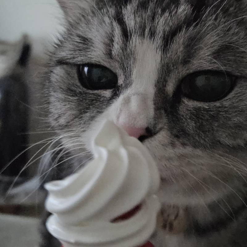 [잡담] 🍓🍓🍓🍓🍓🍓🍓🍓🍓 | 인스티즈