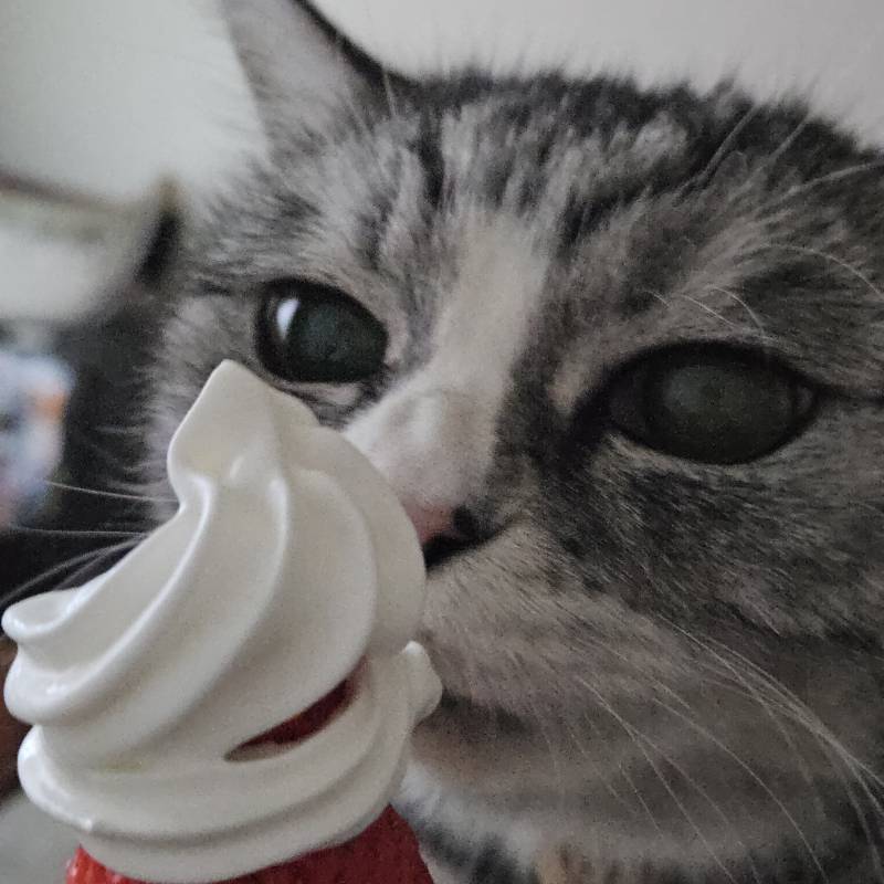 [잡담] 🍓🍓🍓🍓🍓🍓🍓🍓🍓 | 인스티즈