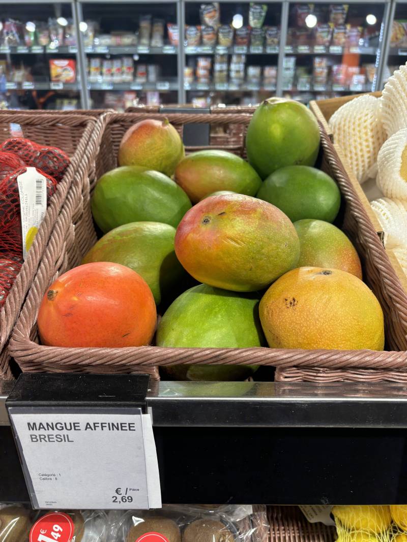 [잡담] 망고 어떤 겇로 할까?????? | 인스티즈