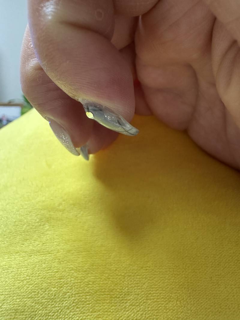 [잡담] 혹시 옆에서 봤을 때 그 메롱쉐잎?? 그거 같아? ㅠㅠ | 인스티즈