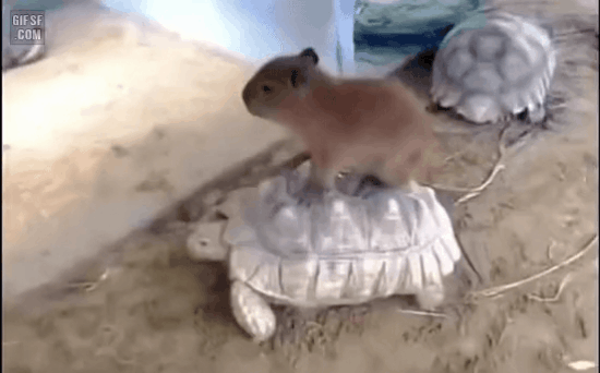 [잡담] 운전은 자신없다는 여돌 멤버 | 인스티즈