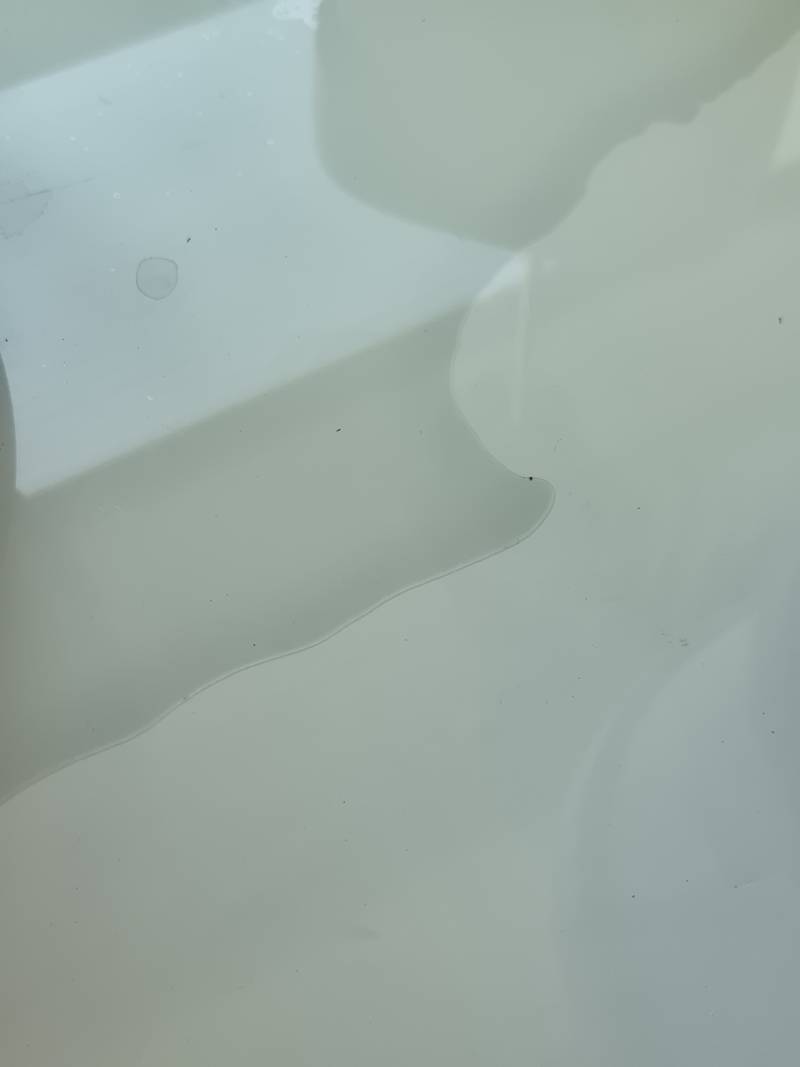 [잡담] 익들아 제발 도와줘ㅠㅠㅠ이거 마를까? | 인스티즈