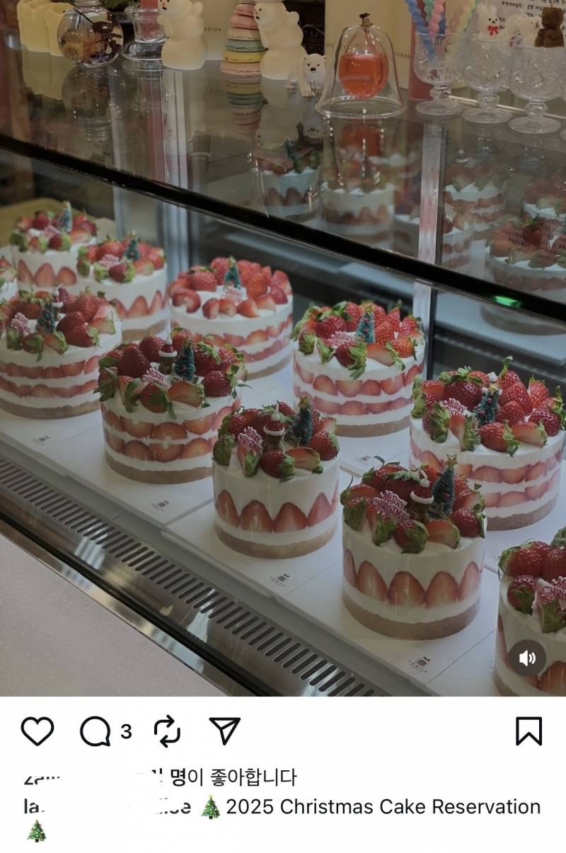 [잡담] 춘천 인스타 크리스마스 케이크 실물 | 인스티즈