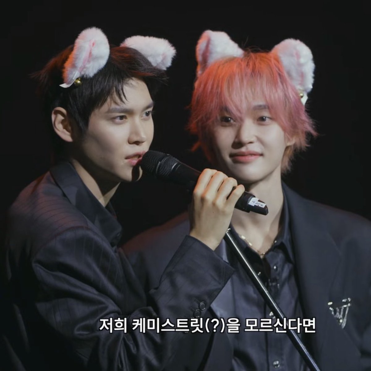 [잡담] 은석 원빈 라이즈 고양이들 | 인스티즈