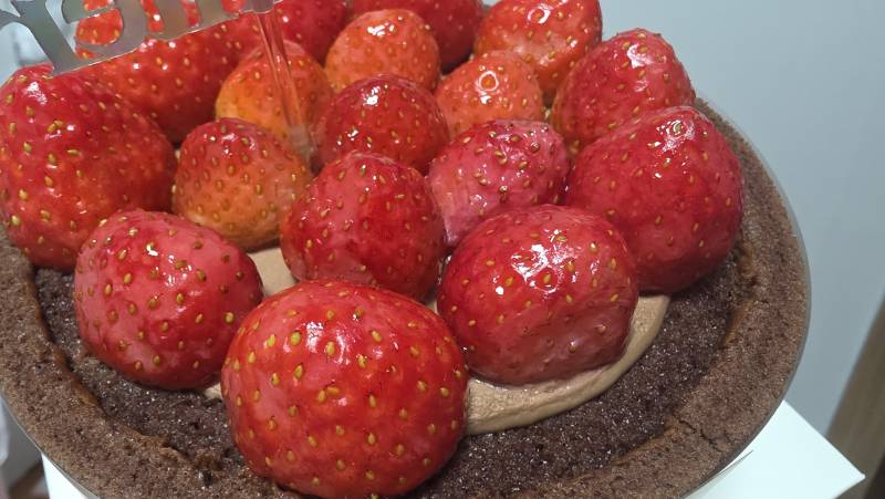 [잡담] 스초생 딸기 봐봐 ㅋㅋㅋㅋㅋ | 인스티즈