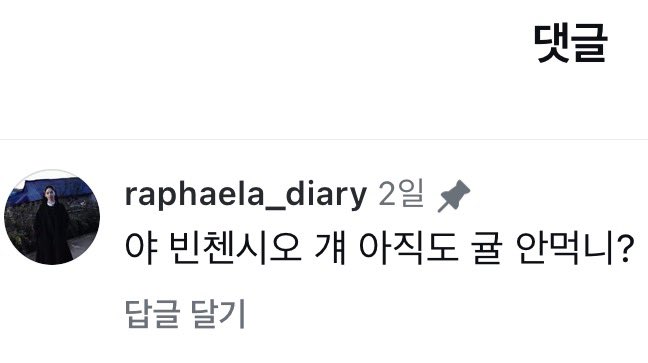 [잡담] 변우석) 라파엘라 댓글 봄? | 인스티즈