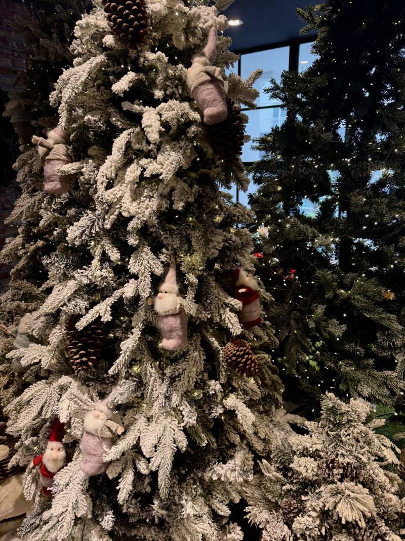 [잡담] 메리 크리스마스🎄😄 | 인스티즈