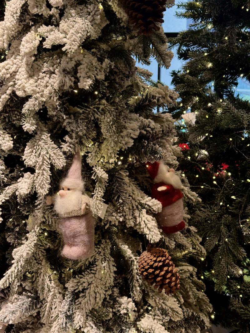 [잡담] 메리 크리스마스🎄😄 | 인스티즈