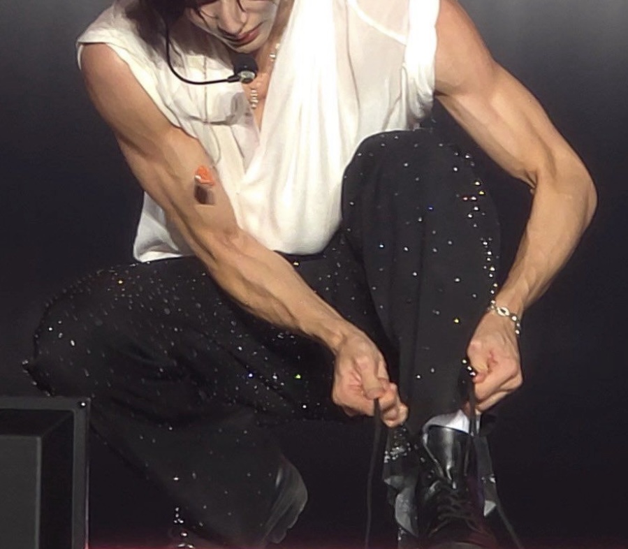 [잡담] 원빈이 고양이라면 이렇게 생겼… | 인스티즈