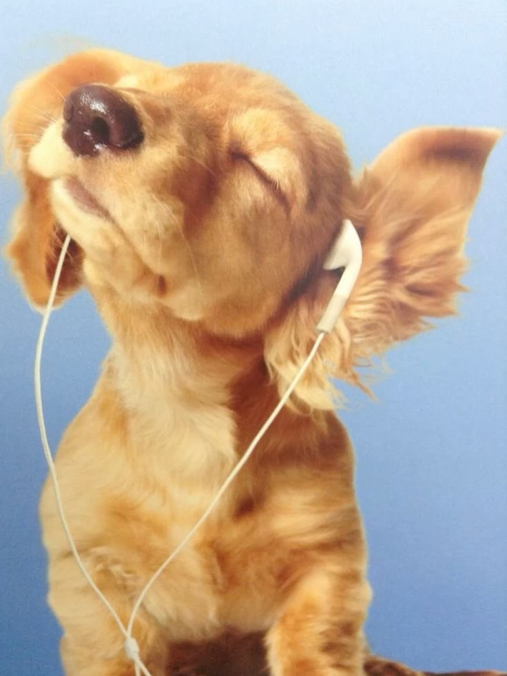 [OnAir] 백현 라방 듣는 내 상황 | 인스티즈