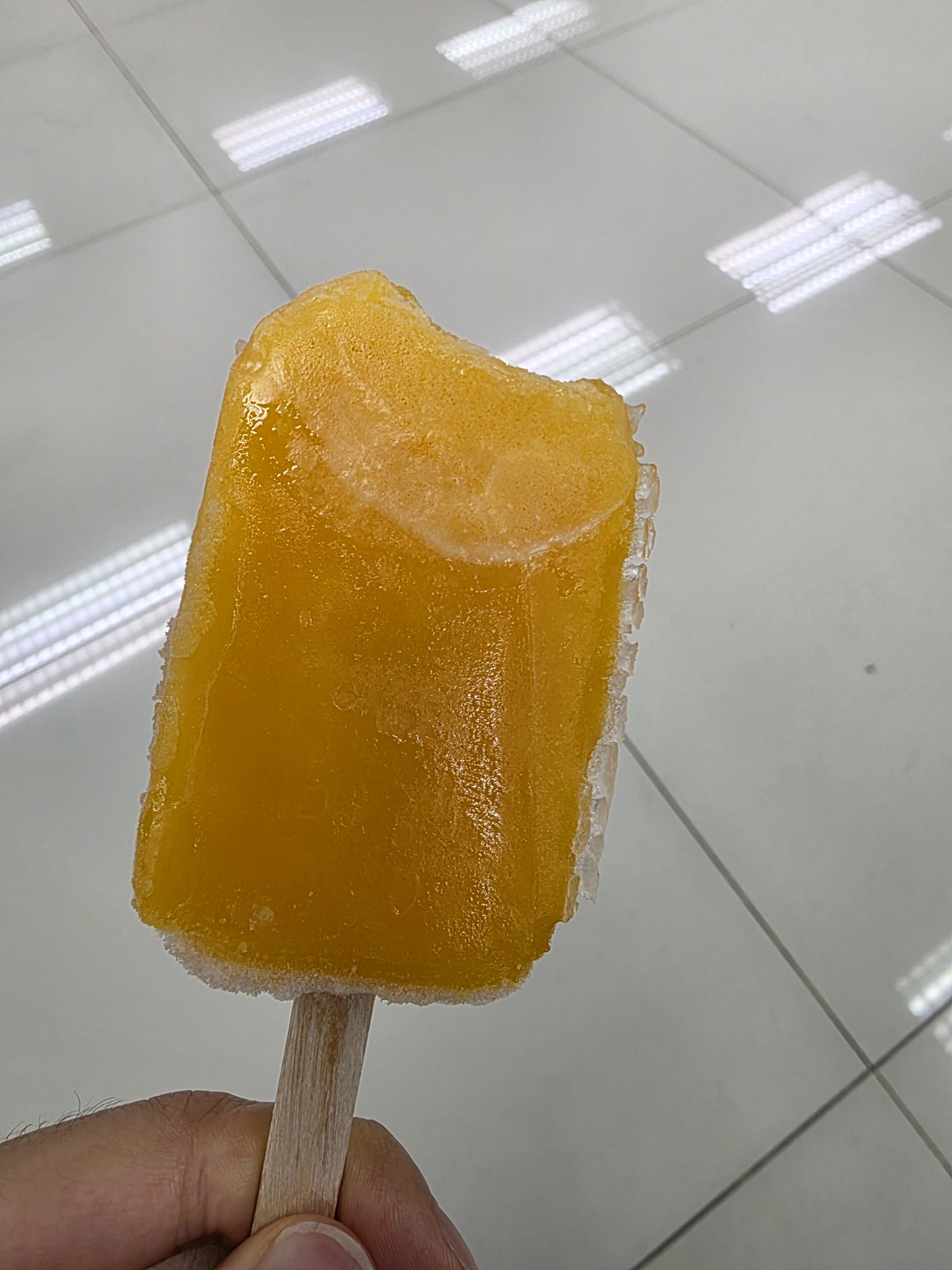 [잡담] 라이즈식 음식사진 웃긴점 | 인스티즈