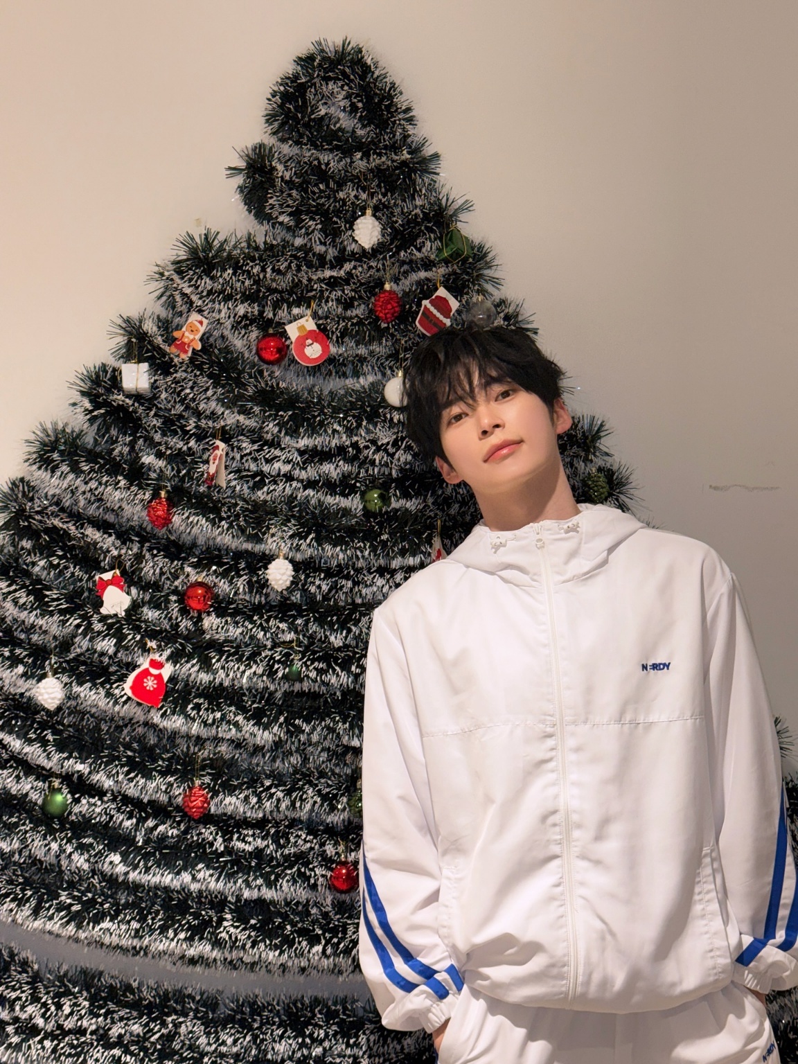 [잡담] 성한빈 트리앞에서 찍은 이사진 새삼 | 인스티즈