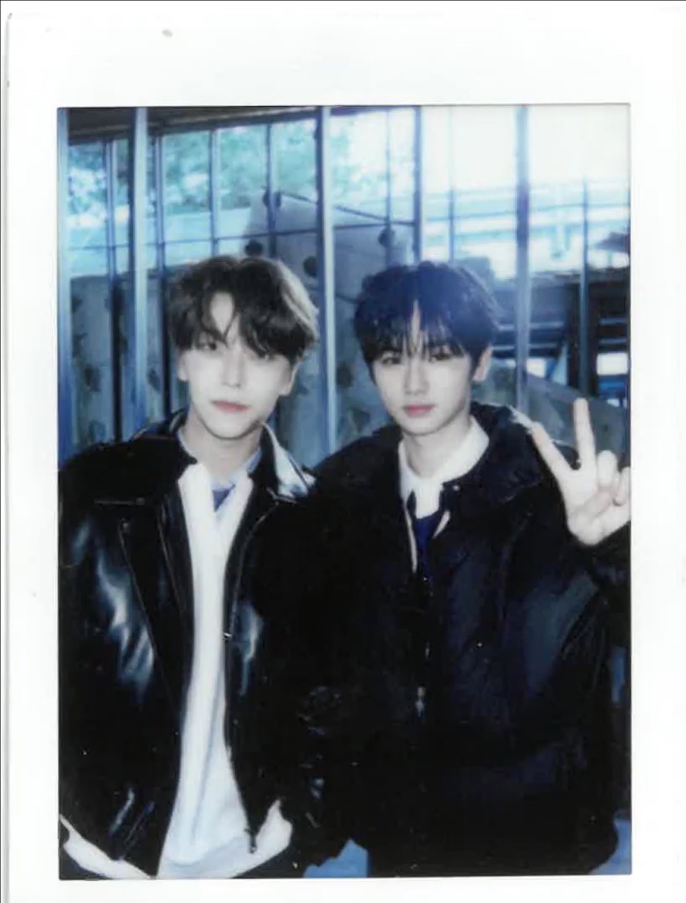 [잡담] 알디원 씬롱이가 풀어준 씽씽즈 | 인스티즈