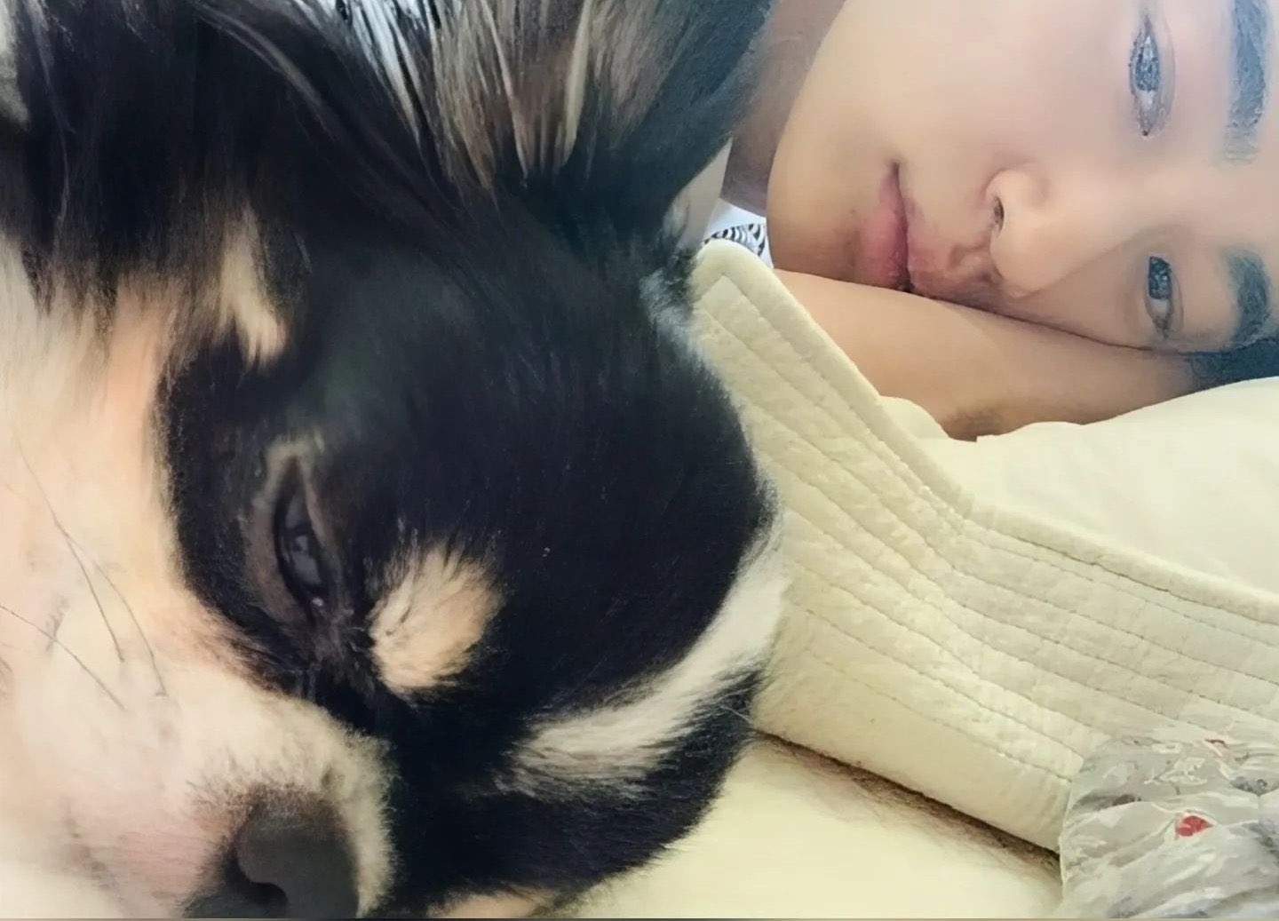 [잡담] 변우석) 변우석은 강아지파가 맞다 | 인스티즈