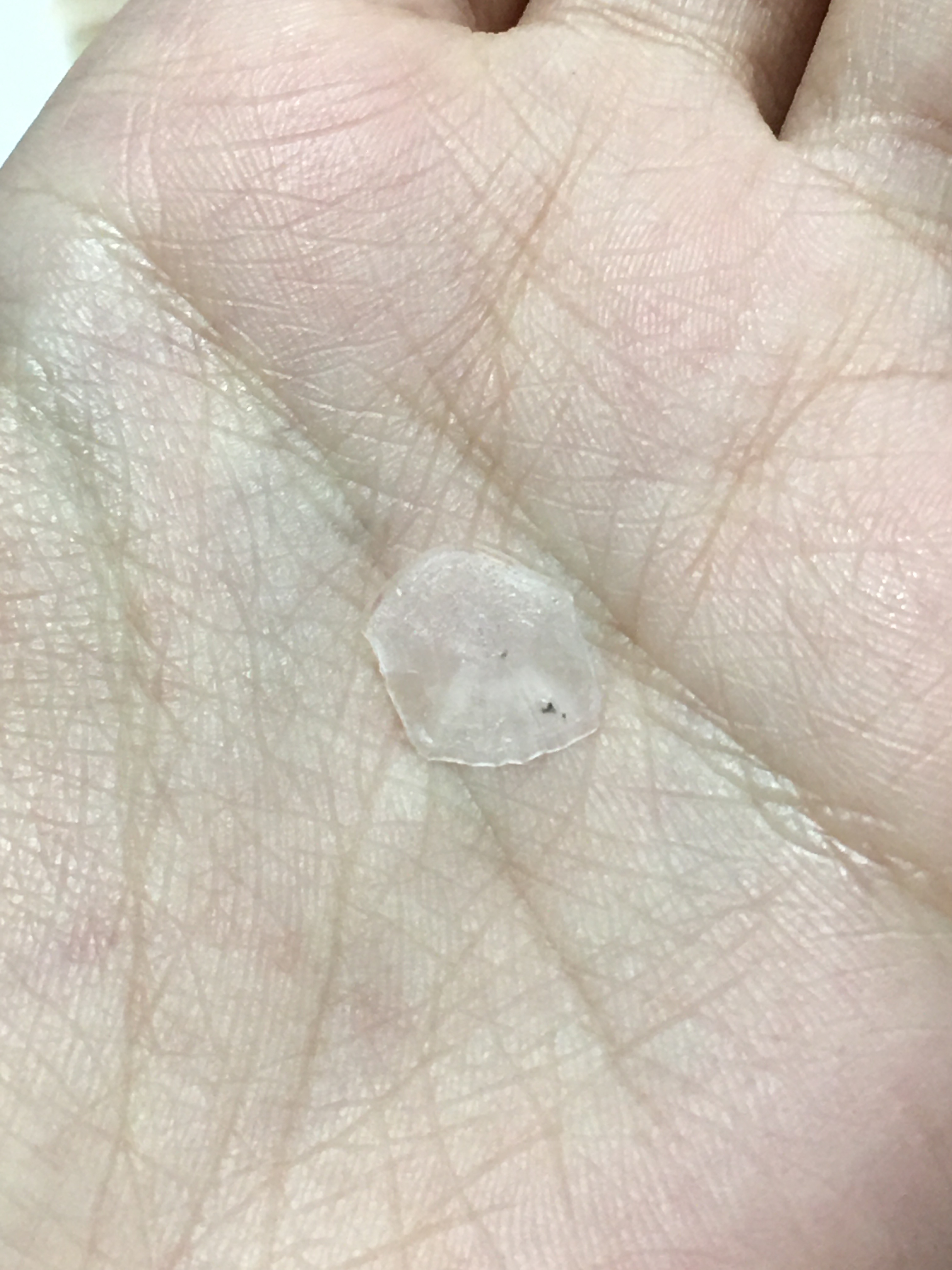 [잡담] 회 배달 시켰는데 이거 뭐지? | 인스티즈