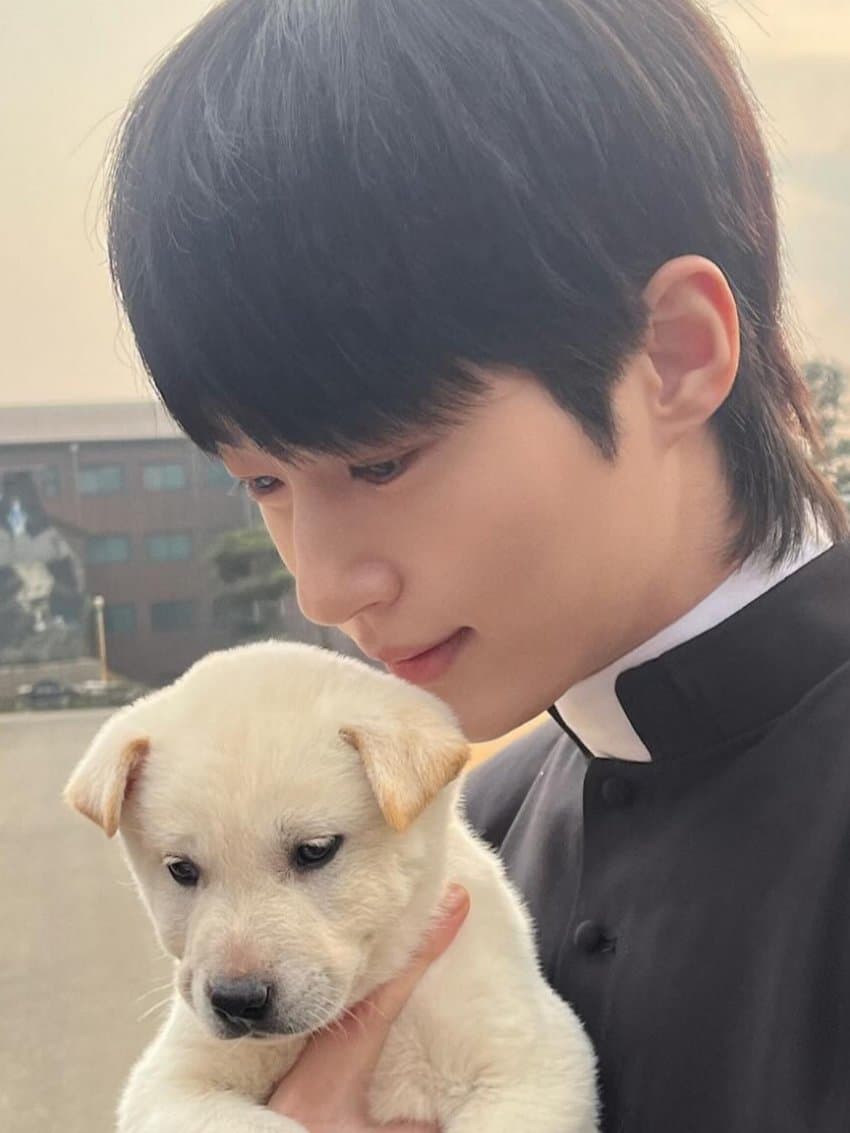 [잡담] 변우석 이거 너무 닮았어 | 인스티즈